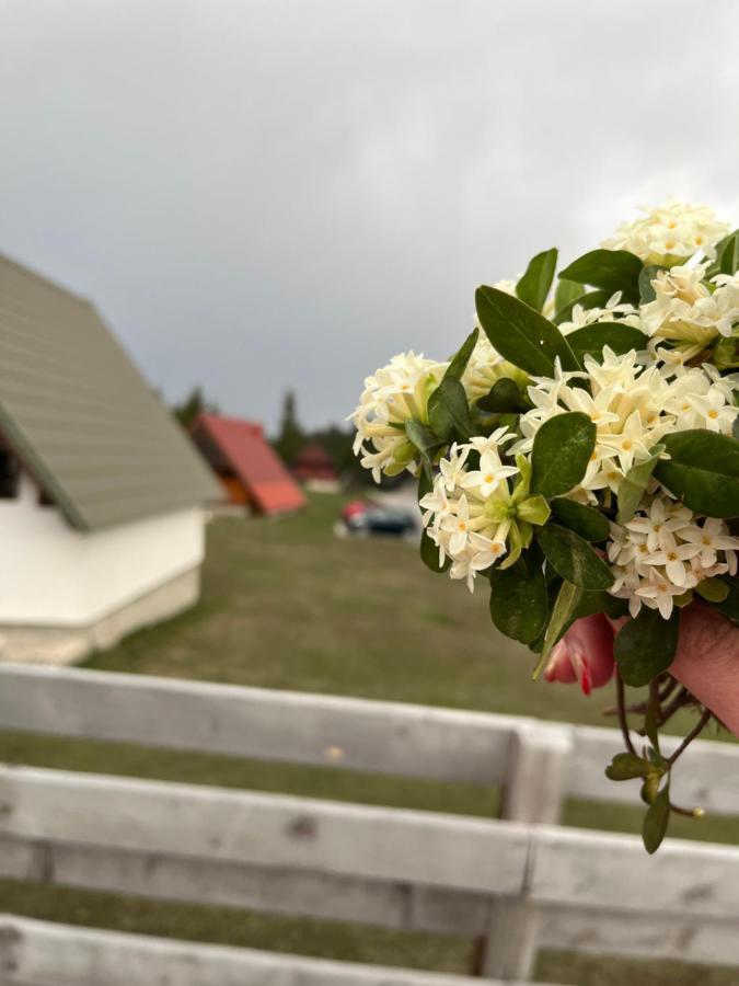 Bungalows Krstajić Zabljak  Bagian luar foto
