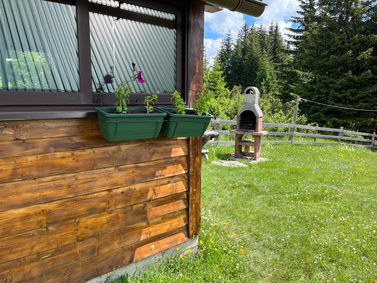 Bungalows Krstajić Zabljak  Bagian luar foto